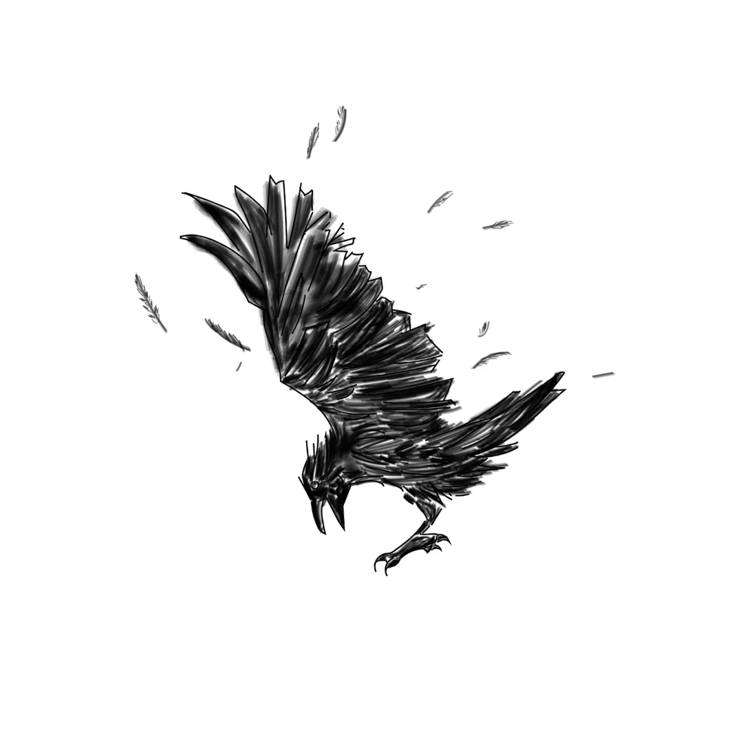 A black-and-white sketch of a diving crow with feathers scattering in the wind